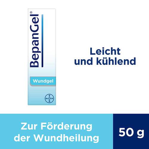 Bepangel Wundgel - 4