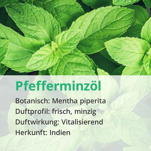 PFEFFERMINZ&Ouml;L naturrein &auml;therisch - 4