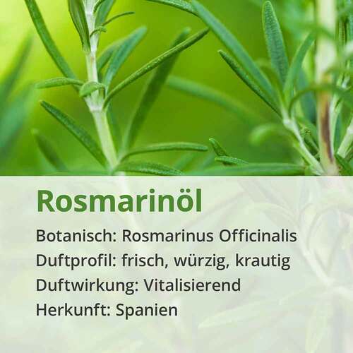ROSMARIN &Ouml;L naturrein &auml;therisch - 4