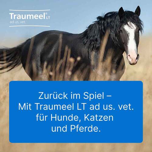 Traumeel LT ad us.vet.Ampullen - 4