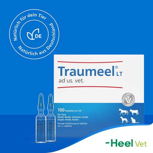 Traumeel LT ad us.vet.Ampullen - 7