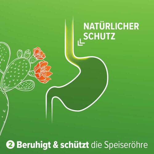 Refluthin bei Sodbrennen Kautabletten Minze - 3
