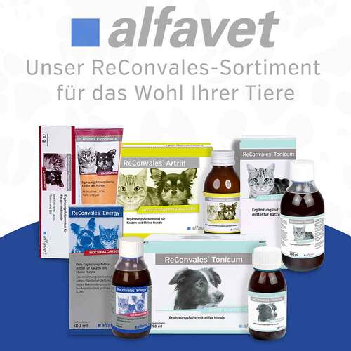 Reconvales Energy Di&auml;t-Erg.Futterm.f&uuml;r kl.Hund / Katze - 6