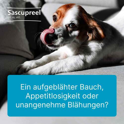 Sascupreel ad us.vet.Tabletten - 2