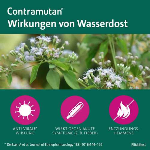 Contramutan Sirup - 4