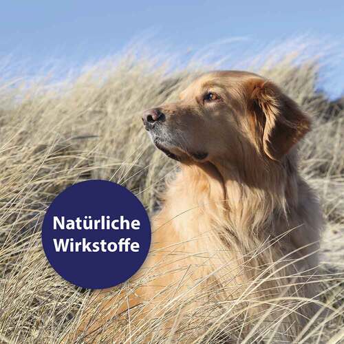 Canosept Hautpflege Spray f&uuml;r Hunde - 4