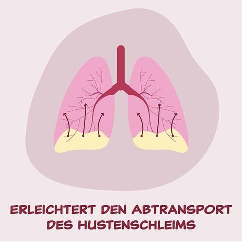 Bromhexin Hermes Arzneimittel 12 mg / ml Tropfen - 2