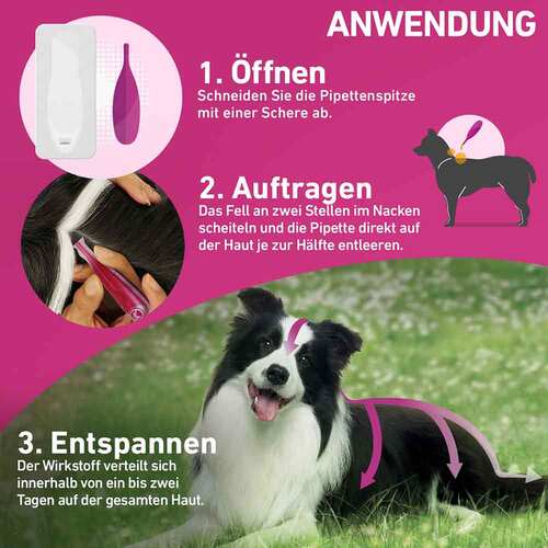 Frontline Tri-Act L&ouml;sung z.Auftropfen f&uuml;r Hunde 2-5 kg - 3