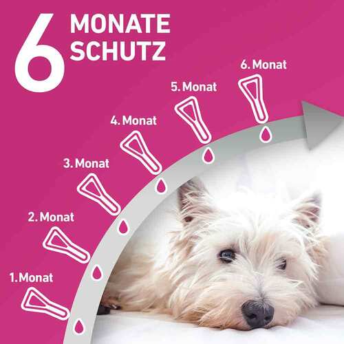 Frontline Tri-Act L&ouml;sung z.Auftropfen f&uuml;r Hunde 2-5 kg - 4