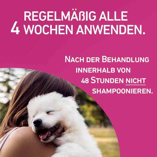 Frontline Tri-Act L&ouml;sung z.Auftropfen f&uuml;r Hunde 2-5 kg - 5