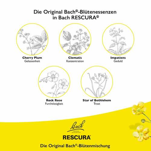Bachbl&uuml;ten Original Rescura Pets Tro.alk.frei vet. (f&uuml;r Tiere) - 5