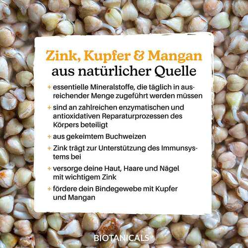 Biotanicals Zink Kapseln - 4
