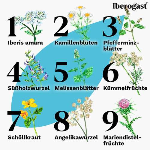 Iberogast Classic Fl&uuml;ssigkeit zum Einnehmen - 5
