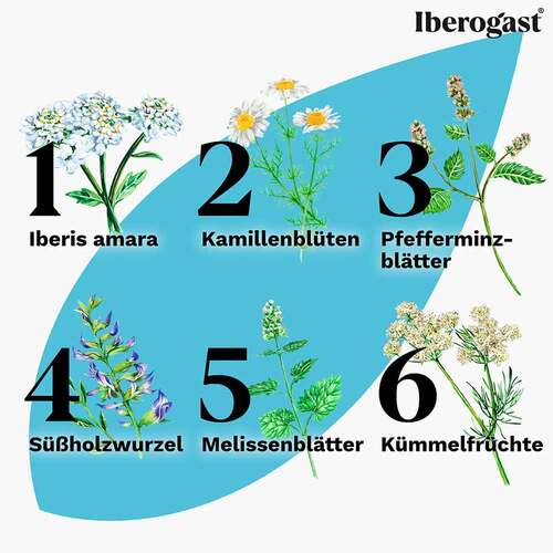 Iberogast Advance Fl&uuml;ssigkeit zum Einnehmen - 5