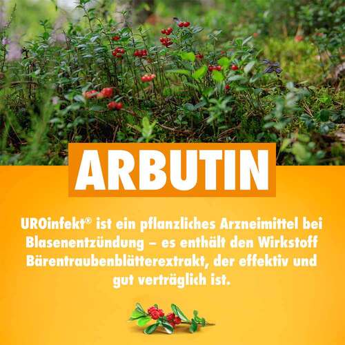 Uroinfekt 864 mg Filmtabletten - 3