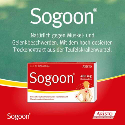 Sogoon 480 mg Filmtabletten - 2
