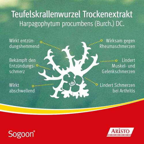 Sogoon 480 mg Filmtabletten - 6