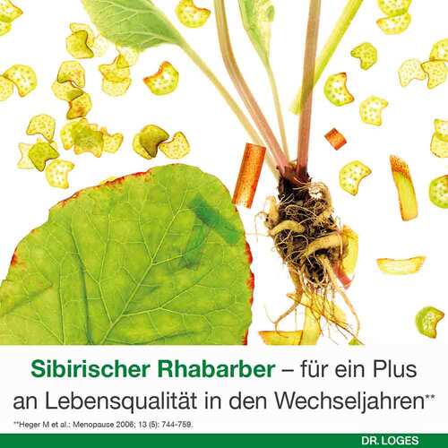 Femiloges magensaftresistente Tabletten - 4