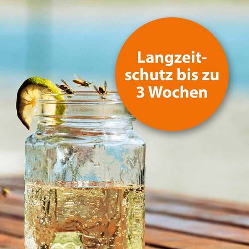 Ardap Wespenfalle - 2