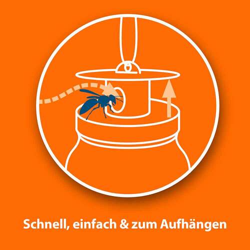 Ardap Wespenfalle - 3