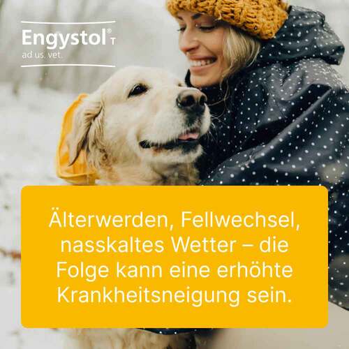 Engystol T ad us.vet.Tabletten - 2