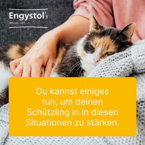 Engystol T ad us.vet.Tabletten - 3