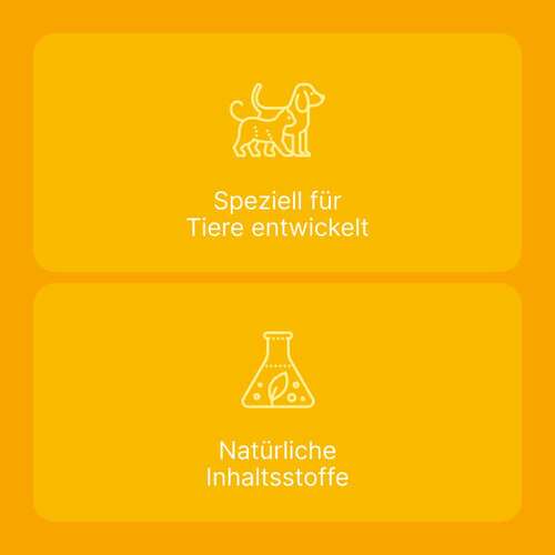 Engystol T ad us.vet.Tabletten - 5