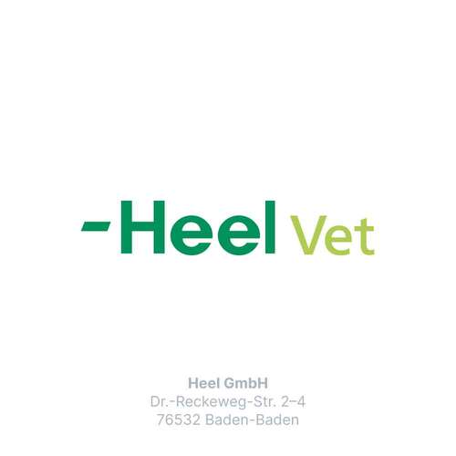 Engystol T ad us.vet.Tabletten - 8