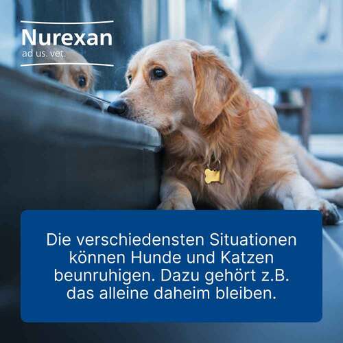 Nurexan ad us.vet.Tabletten - 2