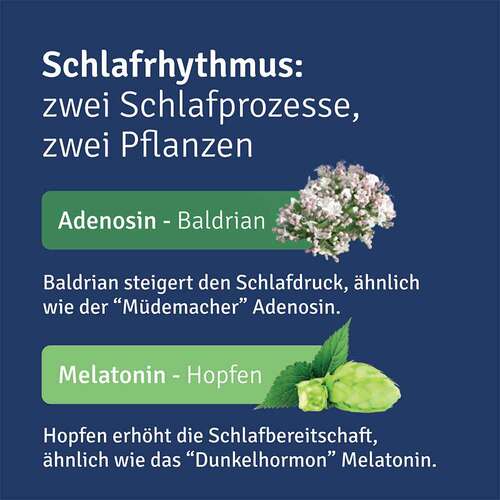 Alluna Schlaf Filmtabletten - 5