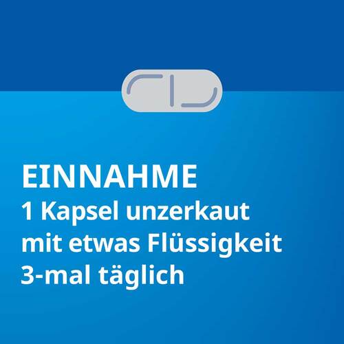 Silymarin Stada 109 mg Hartkapseln - 6