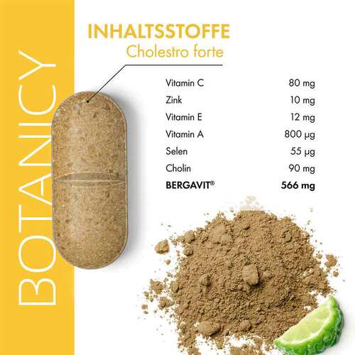 Cholestro forte mit Bergavit Tabletten - 3