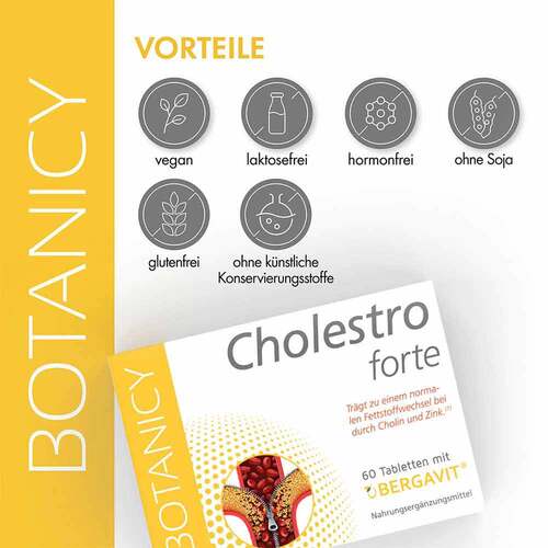 Cholestro forte mit Bergavit Tabletten - 4