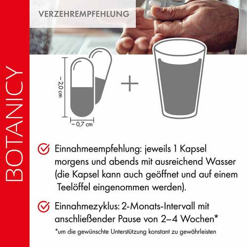 Red Chili Burner mit Capsimax Kapseln - 4