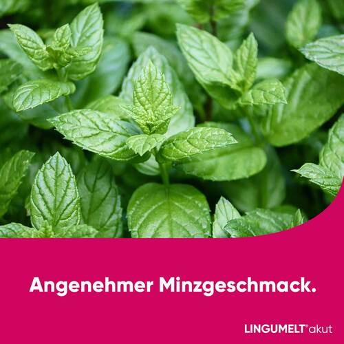 Lingumelt akut 2 mg Lyophilisat zum Einnehmen - 7