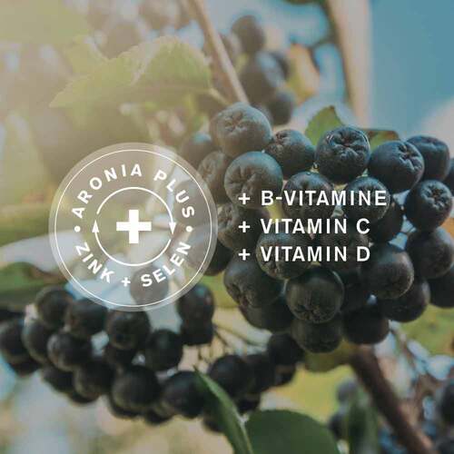 Aronia + Pro Immun direkt Granulat Sticks - 3
