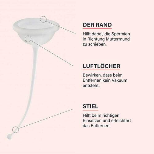Fertilily Kinderwunsch Cup Empf&auml;ngnishilfe - 3