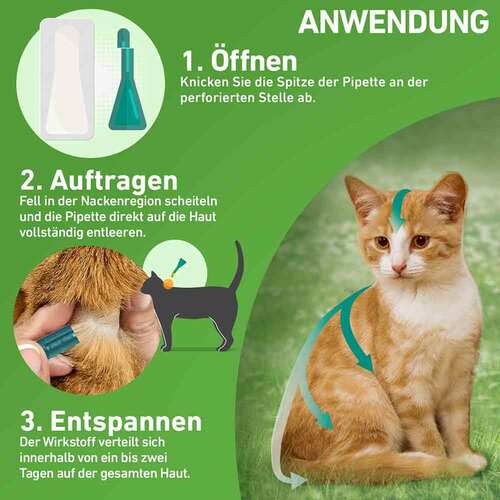 Frontline Combo Spot on Katze L&ouml;sung z.Auft.a.Haut - 3