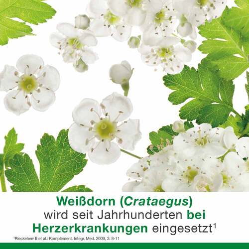 Cratae-Loges 450 mg Wei&szlig;dorn Filmtabletten - 2