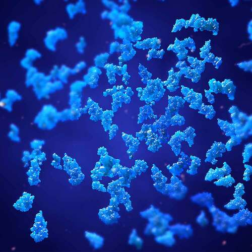 Bacillus subtilis plus Dr.Jacob's Kapseln - 2
