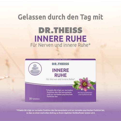 DR.THEISS Innere Ruhe Tabletten - 2