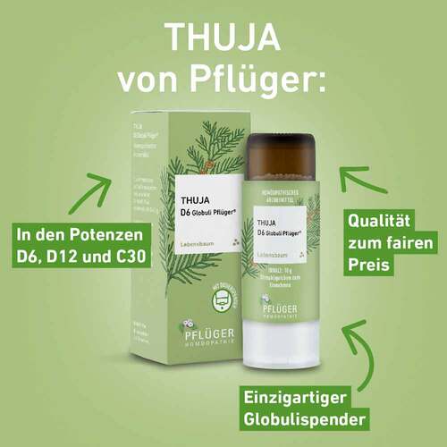 Thuja D 6 Globuli Pfl&uuml;ger Globulispender - 3