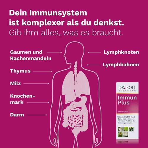 Immun Plus Dr.Koll Gemmo Kompl.Vit.B6 B12 Selen Tr - 4