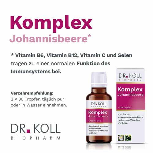 Komplex Johannisbeere Dr.Koll Gemmo Heckenrose Tro - 2