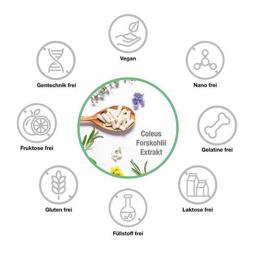 Forskolin 400 mg Coleus Forskohlii Extrakt veg.Kps - 2