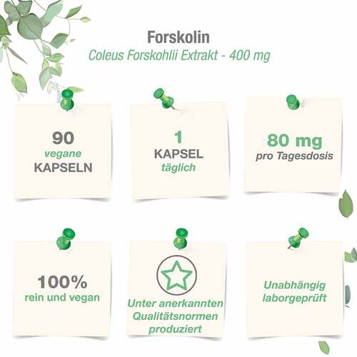 Forskolin 400 mg Coleus Forskohlii Extrakt veg.Kps - 3