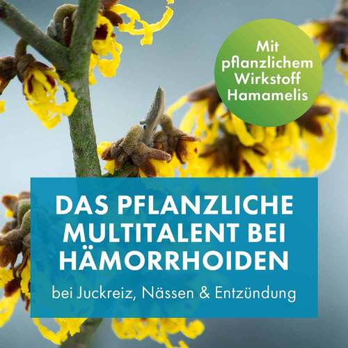 Faktu lind H&auml;morrhoidensalbe - 3