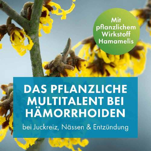Faktu lind H&auml;morrhoidenz&auml;pfchen - 3