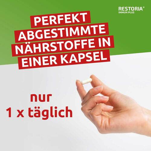 Restoria Sangui Plus Kapseln - 4