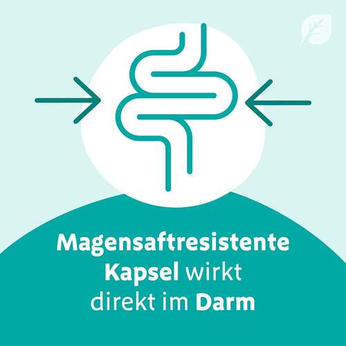 Digestopret magensaftresistente Weichkapseln - 5